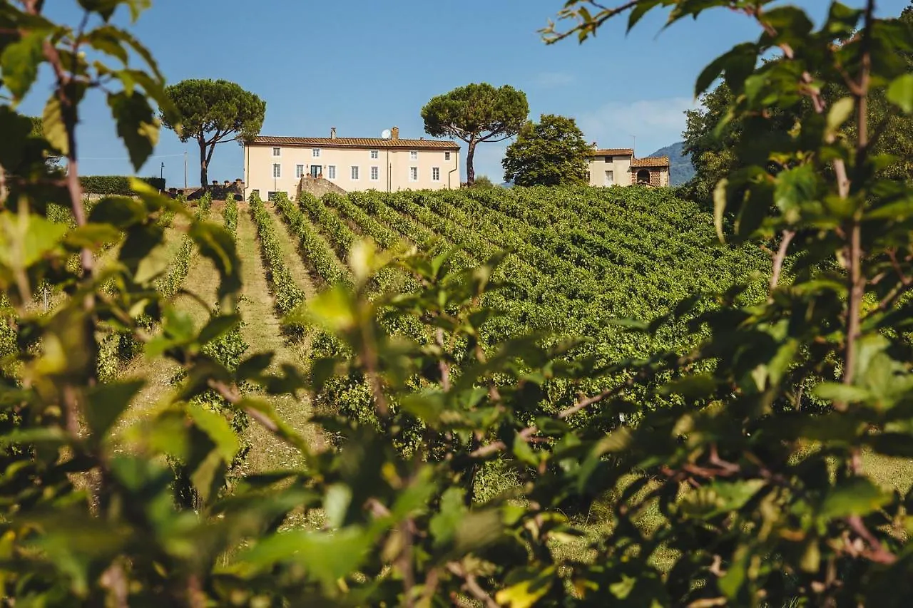 Villa Fattoria Camigliano, Luxury Farmhouse With Pool Inside A Wine Estate Capannori