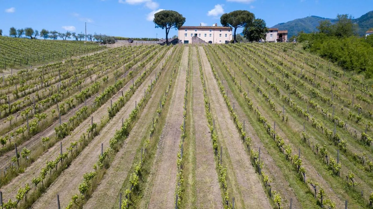 Fattoria Camigliano, Luxury Farmhouse With Pool Inside A Wine Estate Capannori