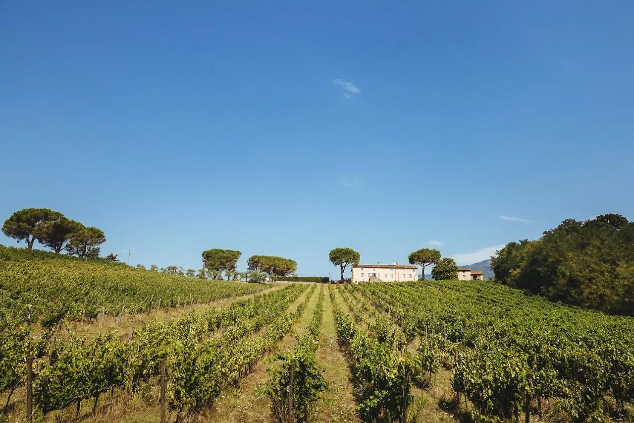 Villa Fattoria Camigliano, Luxury Farmhouse With Pool Inside A Wine Estate Capannori