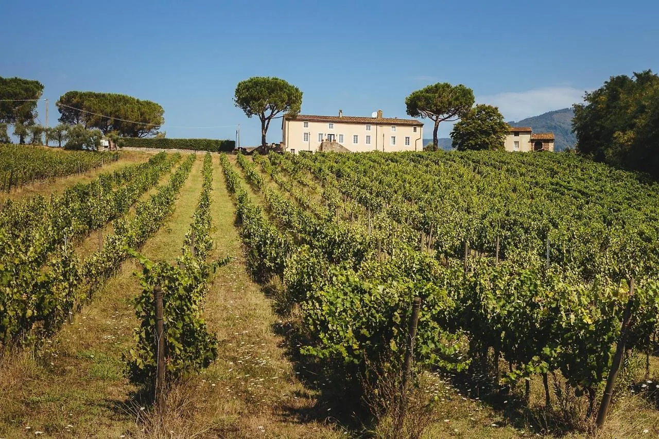 Fattoria Camigliano, Luxury Farmhouse With Pool Inside A Wine Estate Capannori